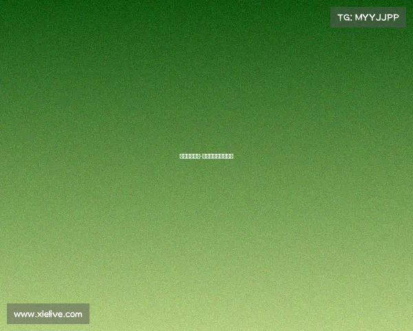 赛事申请文件-赛事申请文件是什么