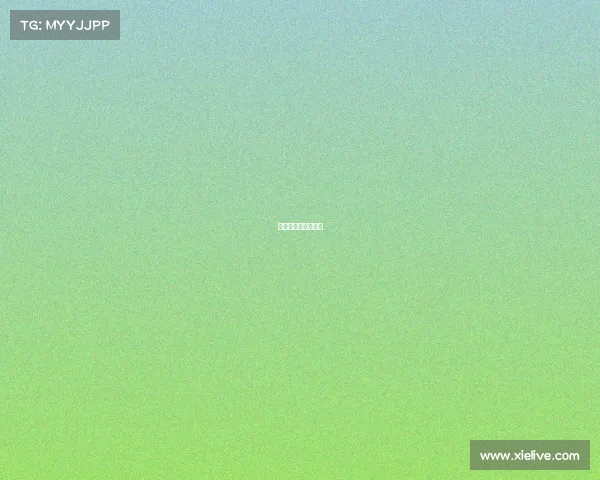 赛事申办的工作程序